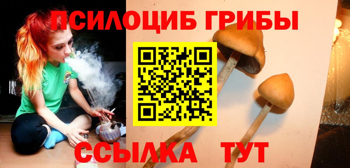 Галлюциногенные грибы ЛСД  Вход с VPN  Сальск  Галлюциногенные грибы ЛСД 